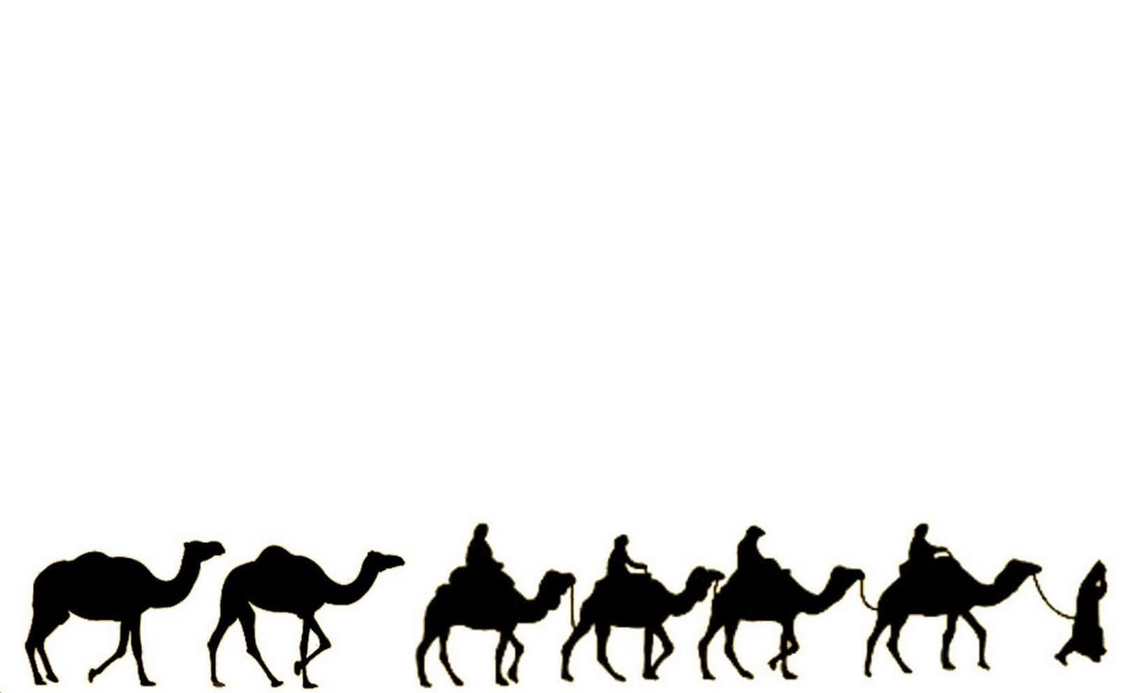 Camel Trekking Through the Sahara