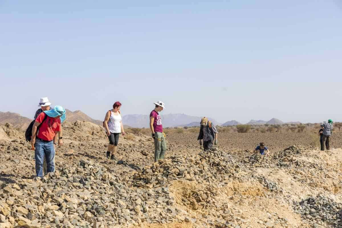 Fossils through Morocco and trolibite sites in Alnif