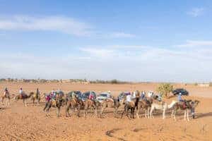 epic zagora tours, geological tours, fossil tour