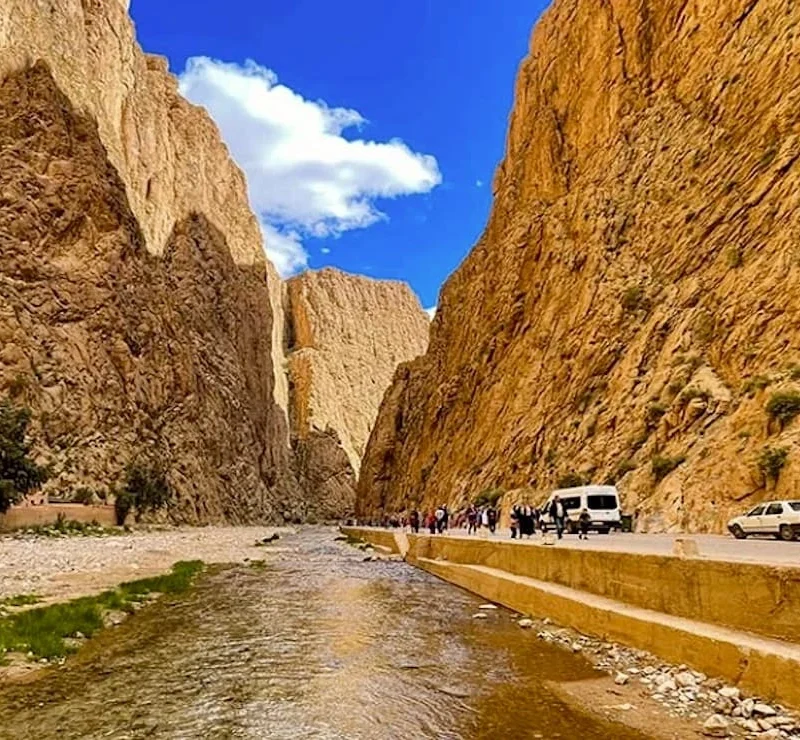 Todra Gorge cliffs and river during Morocco desert tour from Fez to Marrakech via Merzouga