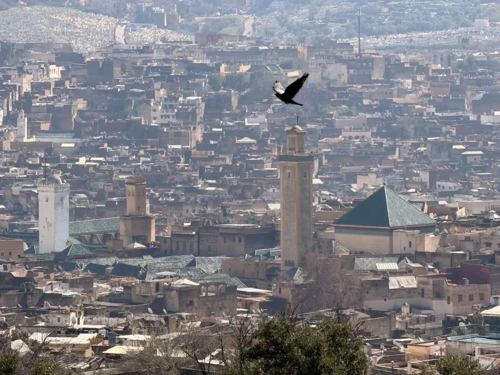 Exploring the historic Fez Old Medina during 5 Days Imperial Cities tour in Morocco