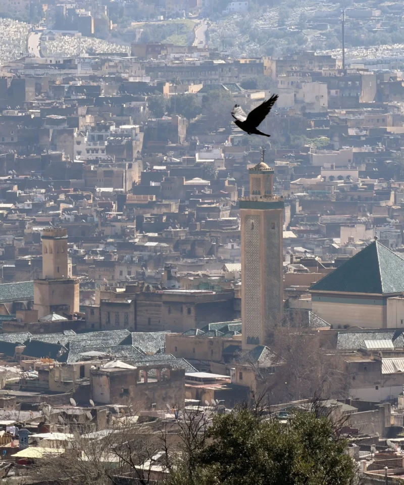 Exploring the historic Fez Old Medina during 5 Days Imperial Cities tour in Morocco