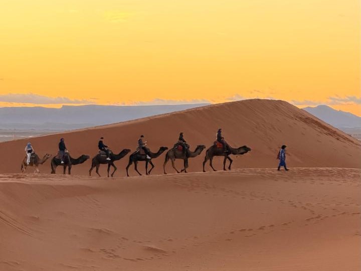 7 Days Desert Tour From Fez