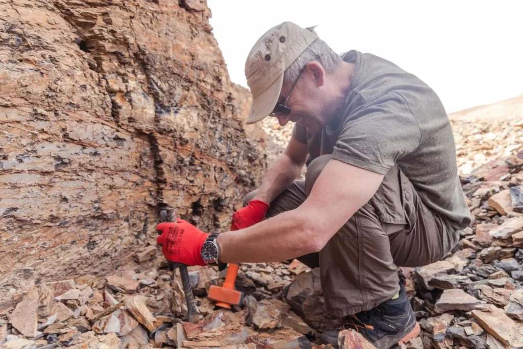 Tourist digging for Calymene trilobite fossil during Morocco family fossil tour in the desert.