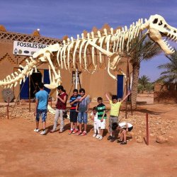 Epic Zagora Tours - Fossil Tours & Travel Experience, geological tour, camels, morocco desert tour