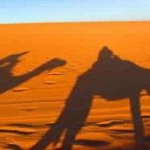 Morocco Camel Trekking