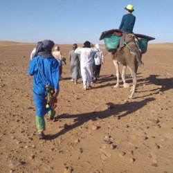 Zagora Camel Trekking, Epic Zagora Tours - Fossil Tours & Travel Experience, geological tour, camels, morocco desert tour