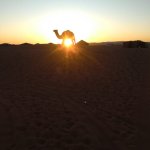 Epic Zagora Tours - Fossil Tours & Travel Experience, geological tour, camels, morocco desert tour