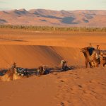Epic Zagora Tours - Fossil Tours & Travel Experience, geological tour, camels, morocco desert tour